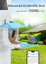 Load image into Gallery viewer, Wireless Bird Feeder with Solar Camera - Real-Time Bird Watching from Your Phone
