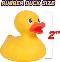 Load image into Gallery viewer, Assorted Rubber Ducks (100 PK) - Perfect for Educational Play, Parties &amp; Bathing