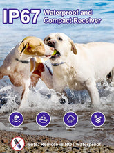 Load image into Gallery viewer, Rechargeable Dog Training Collar for 2 Dogs - 3 Modes, Waterproof Design