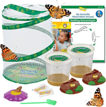 Load image into Gallery viewer, Engaging Butterfly Metamorphosis Kit | 10 Caterpillars &amp; 12" Habitat for Kids