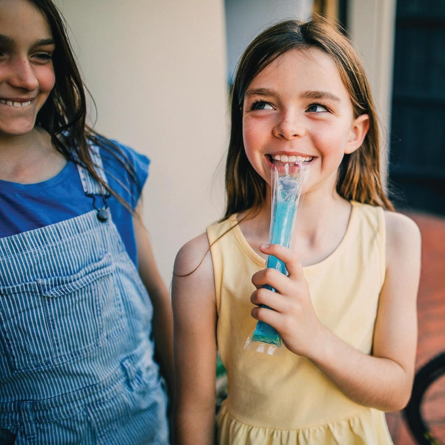 Bulk Pack of Authentic 96 Count Italian Ice Freezer Bars - Family Favorite