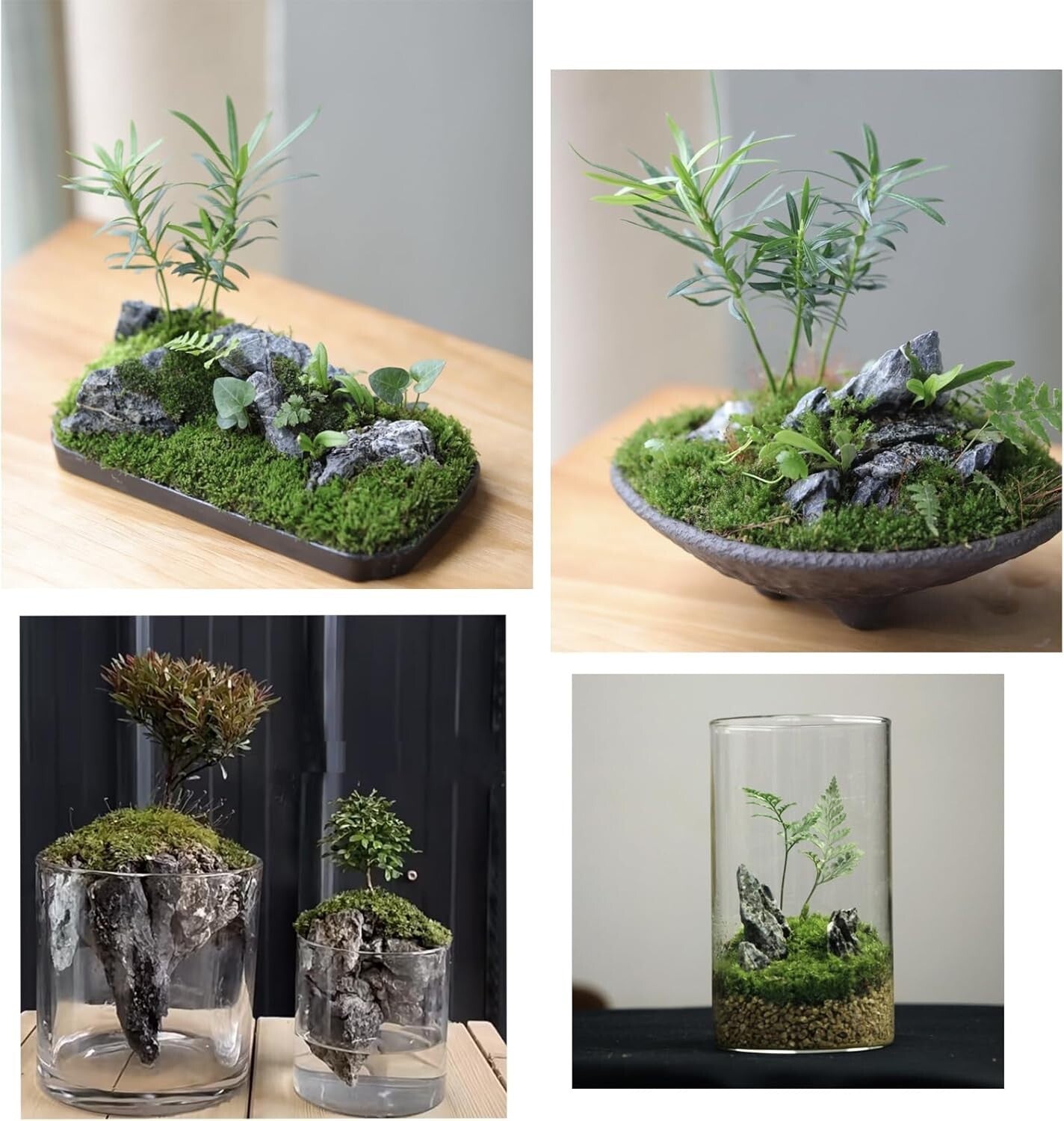 Premium 20LB Seiryu Rock - Durable & Safe Aquarium Stone for Aquatic Landscapes