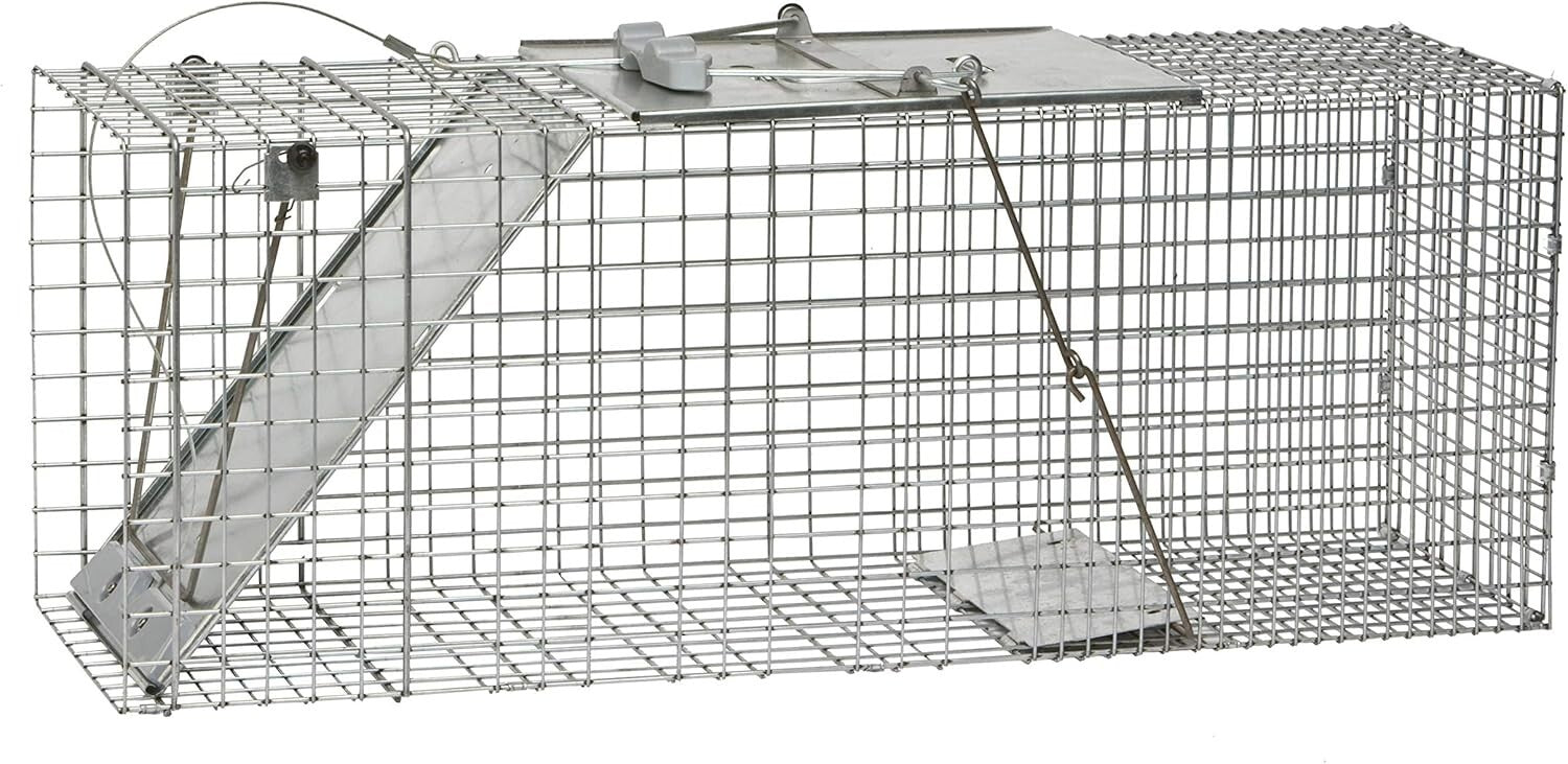 Efficient Large 1-Door Animal Trap for Armadillos, Cats & Raccoons - Easy Set