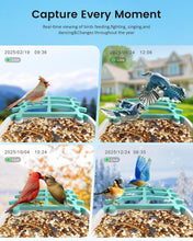 Load image into Gallery viewer, Eco-Friendly Smart Bird Feeder: AI Recognition &amp; Night Vision for 11,000 Species
