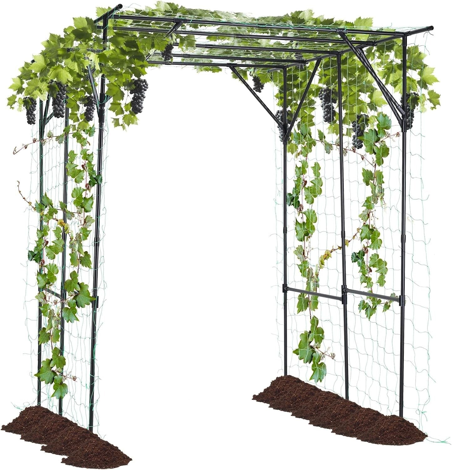 Durable Outdoor Garden Trellis - Black Pergola Frame for Climbing Plants