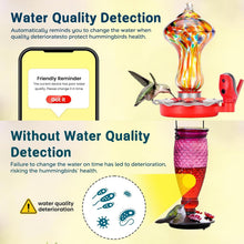 Load image into Gallery viewer, Solar-Powered Hummingbird Feeder with 2K HD Camera – Alexa &amp; Google Compatible