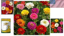Load image into Gallery viewer, Vibrant Mix of California Giant Zinnia Seeds - 1 lb for Stunning Flower Displays