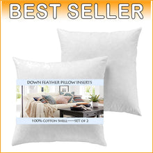 Load image into Gallery viewer, Set of 2 - 22x22 White Feather Down Decorative Pillow Inserts - Soft &amp; Washable
