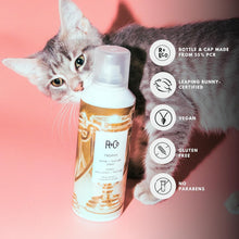 Load image into Gallery viewer, Citrus Volumizing Texture Spray for All Hair Types - 6 oz by Trophy Shine