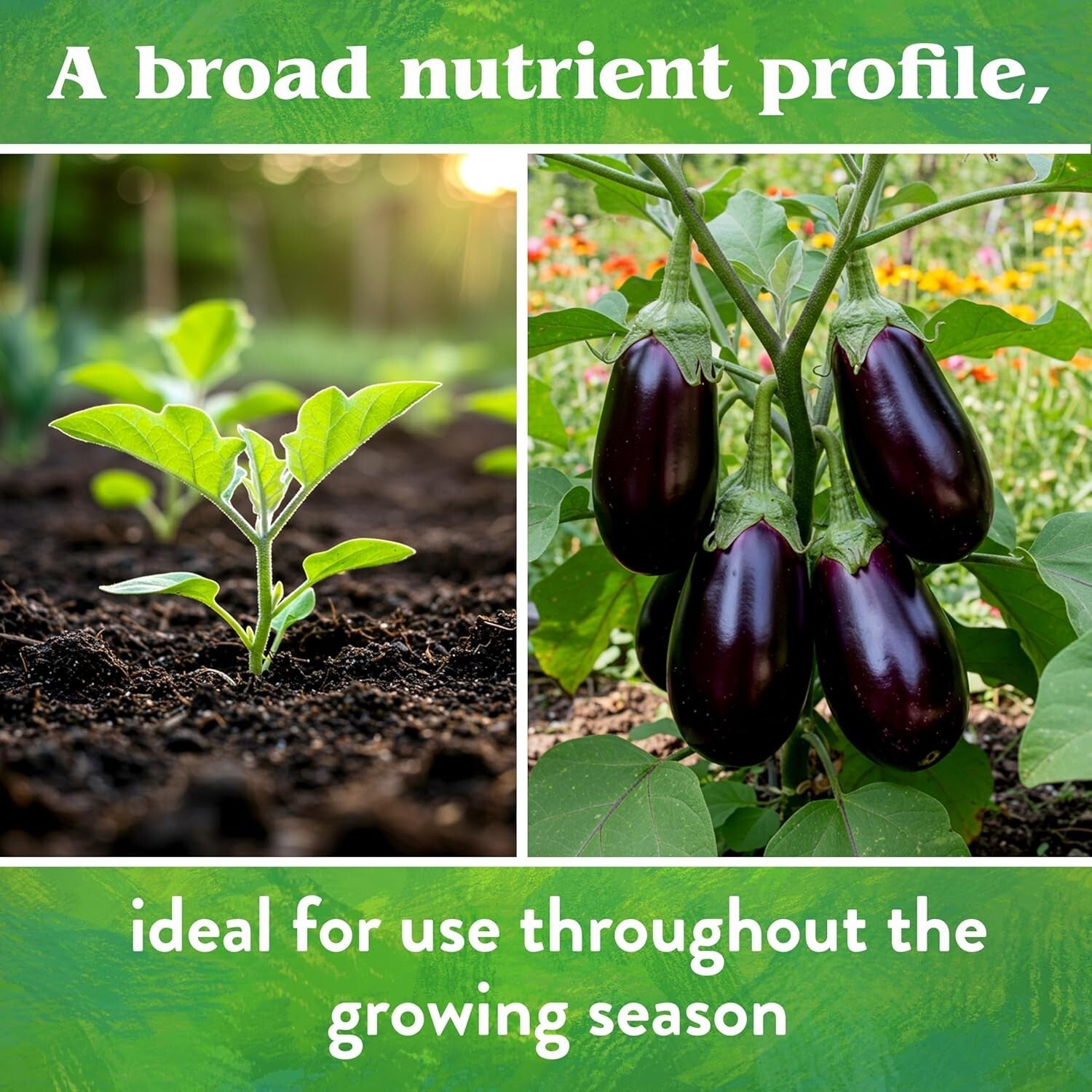 All-Natural 15 lb Vegetable Fertilizer 4-4-4 Mix for Healthy Garden Growth