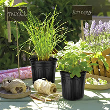 Load image into Gallery viewer, Versatile 5 Gallon Plant Pots - Soft Plastic Nursery Pots for Indoor/Outdoor Use