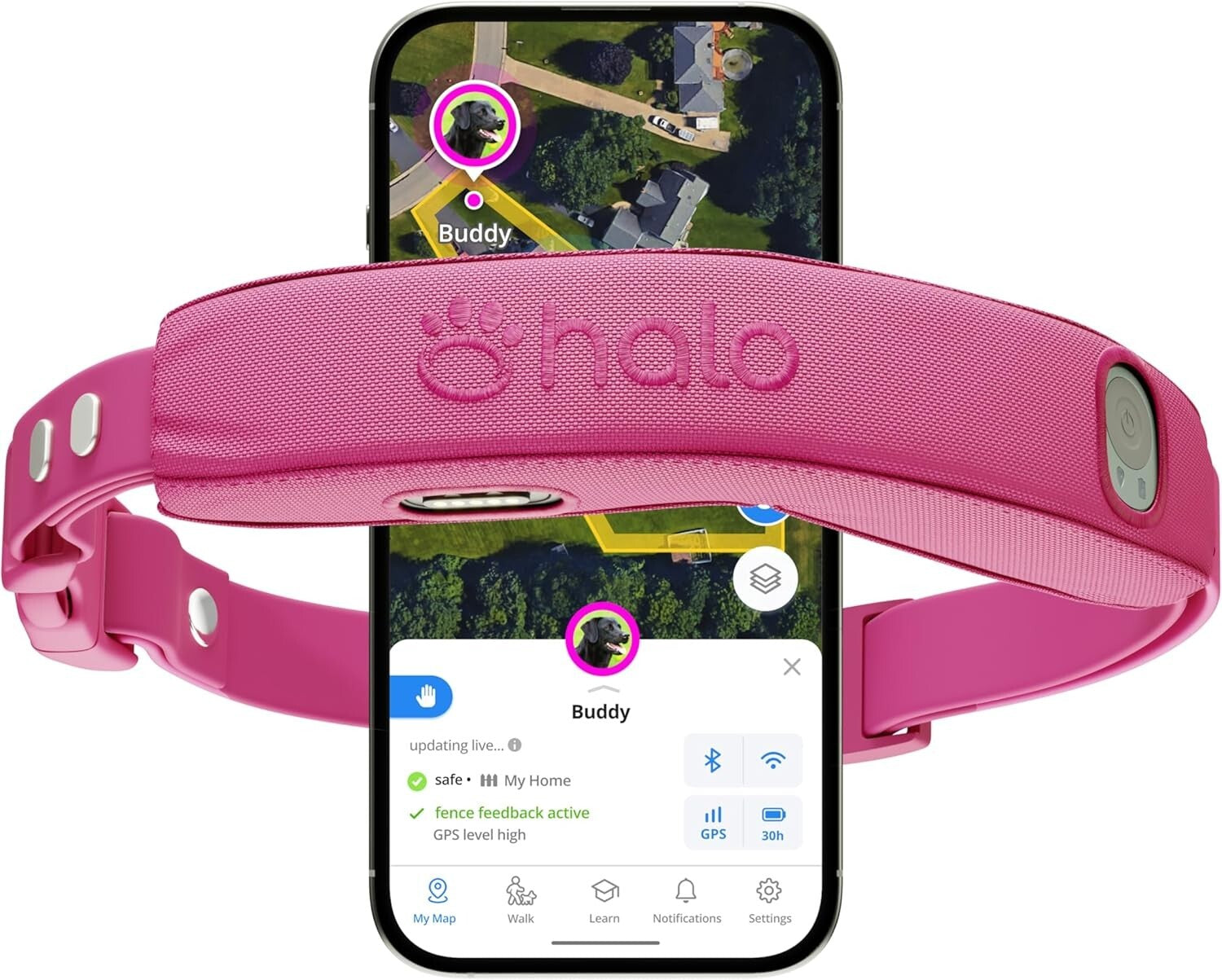 All-New GPS Wireless Dog Fence & Training Collar - Waterproof, Orchid Color