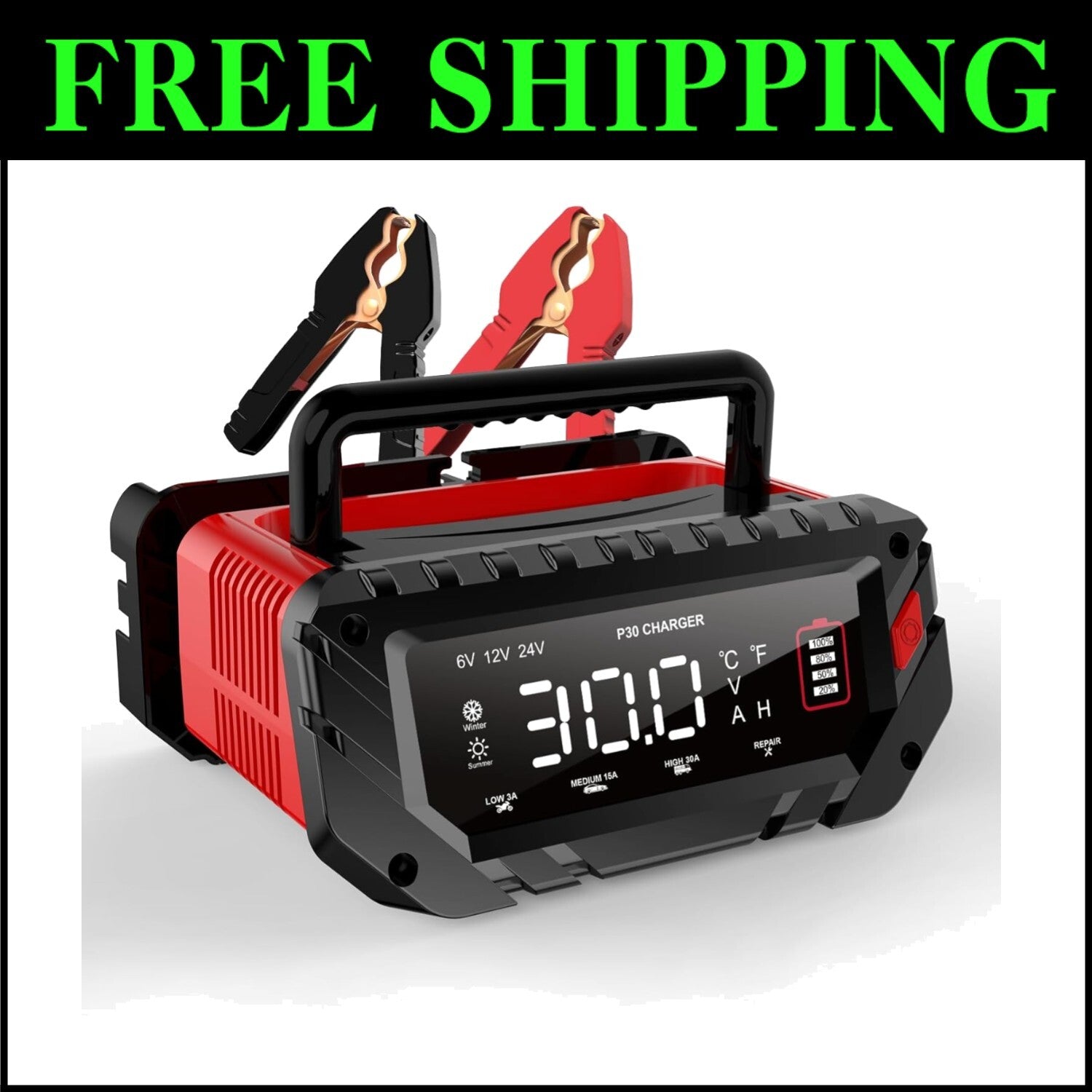 30 Amp Smart Lithium Battery Charger for 6V/12V/24V Vehicles – Portable & Safe