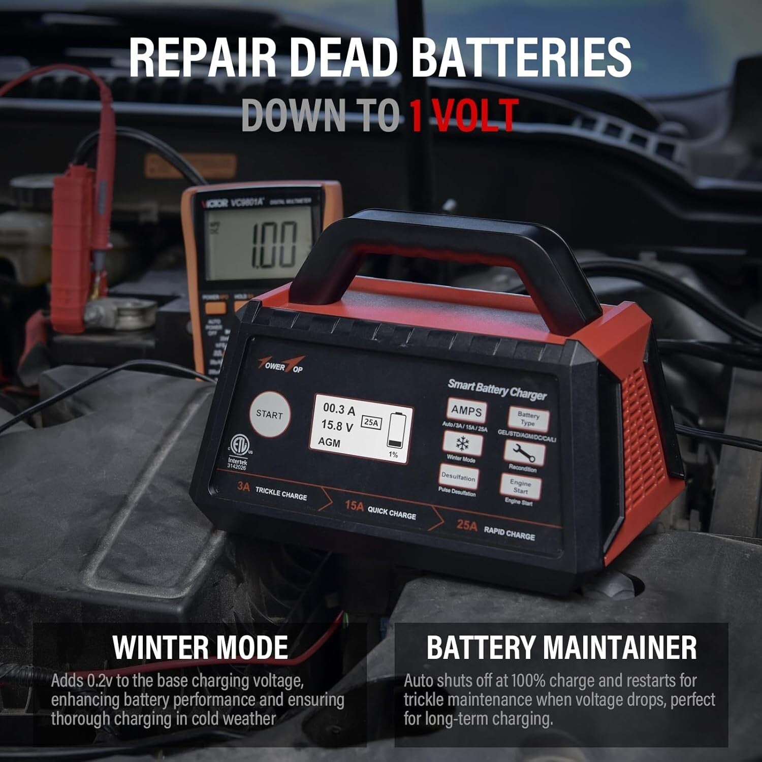 Intelligent Car Battery Maintainer with Advanced Repair Mode & ETL Certification