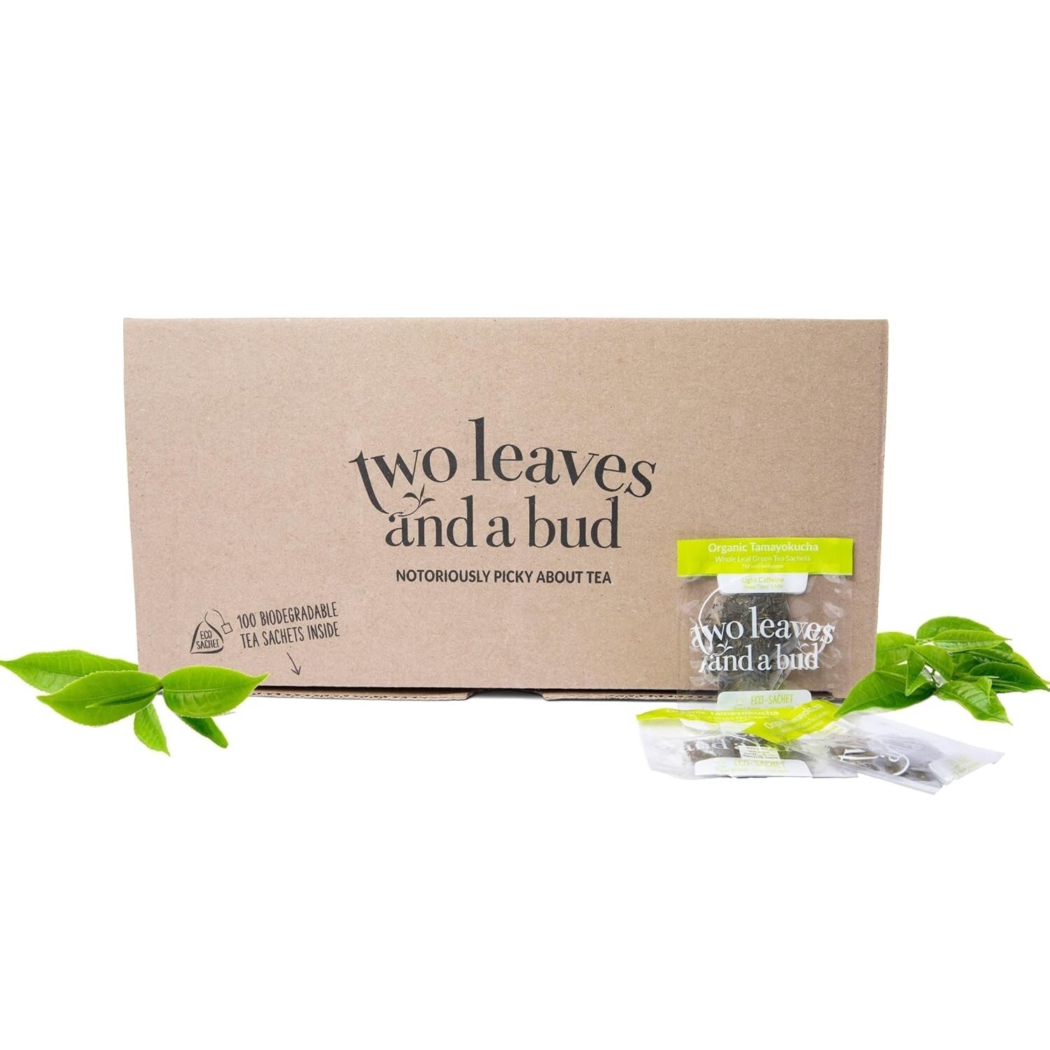 100 Count Pyramid Sachets of Whole Leaf Organic Green Tea - Light & Sweet Flavor