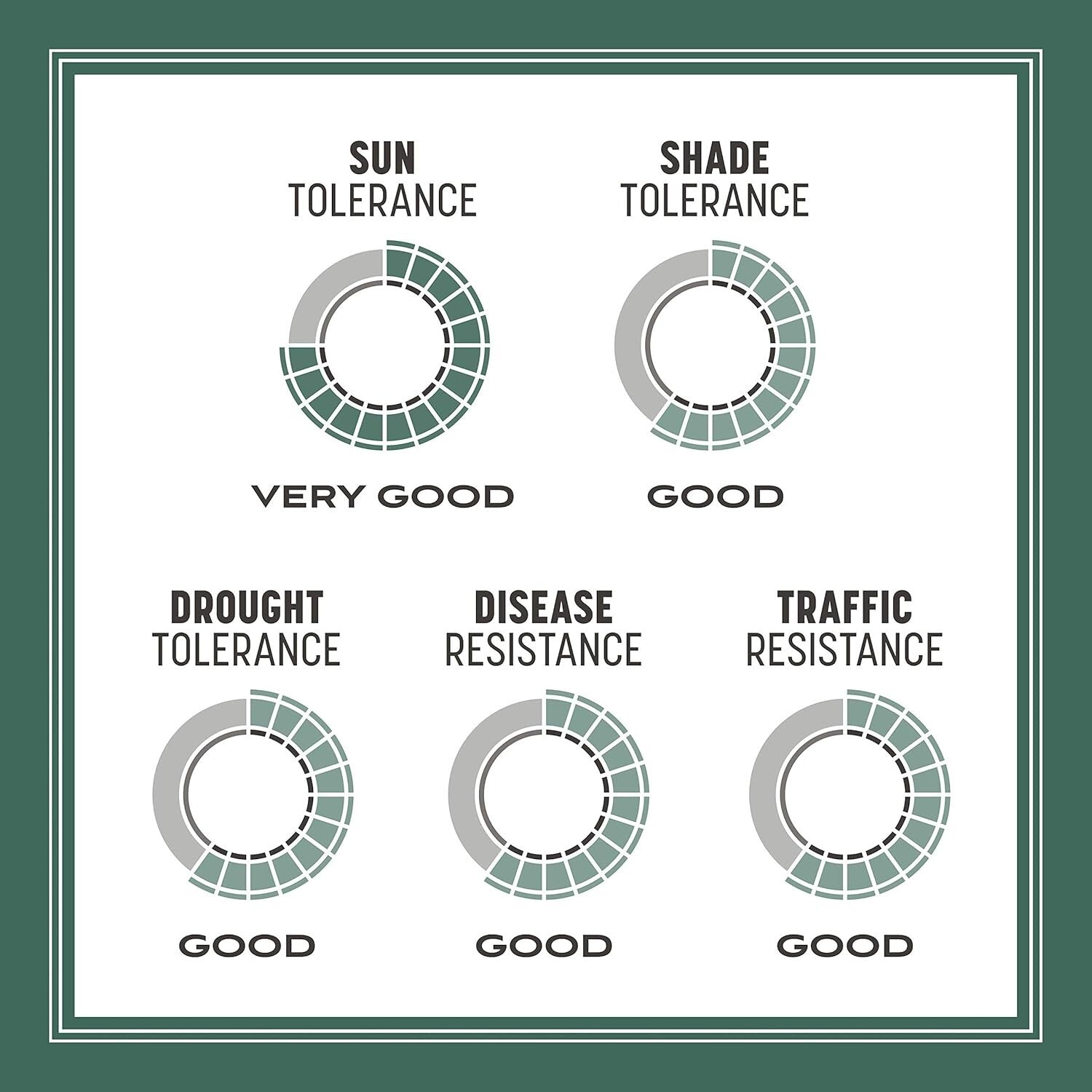 Kentucky 31 Tall Fescue Grass Seed 20 lb - Durable Lawn Solution for 4,000 sq ft