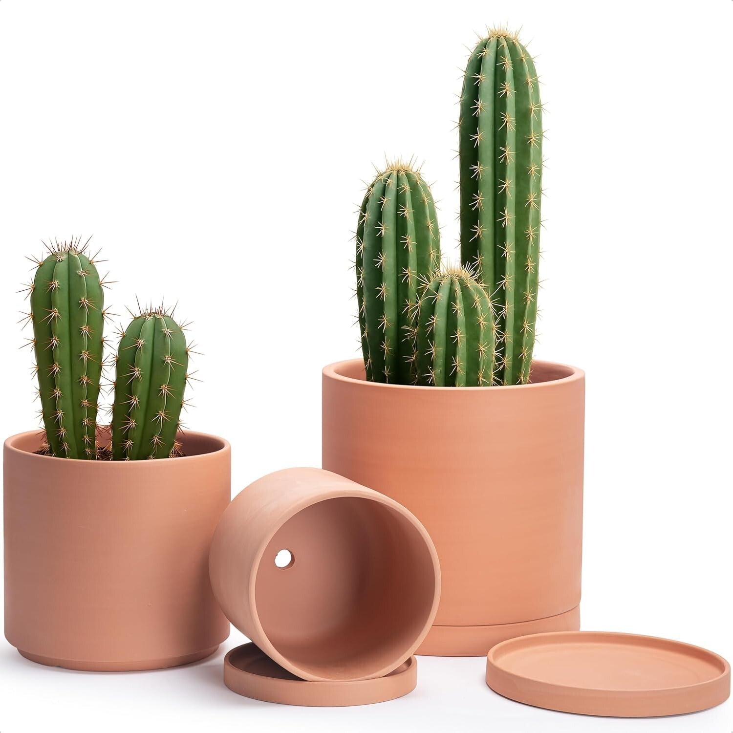 Elegant Set of 3 Terracotta Pots with Drainage and Saucers for Indoor Plants