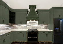 Load image into Gallery viewer, Versatile All-in-One Paint - No Sanding, Built-in Primer, 32 Oz Crete Color
