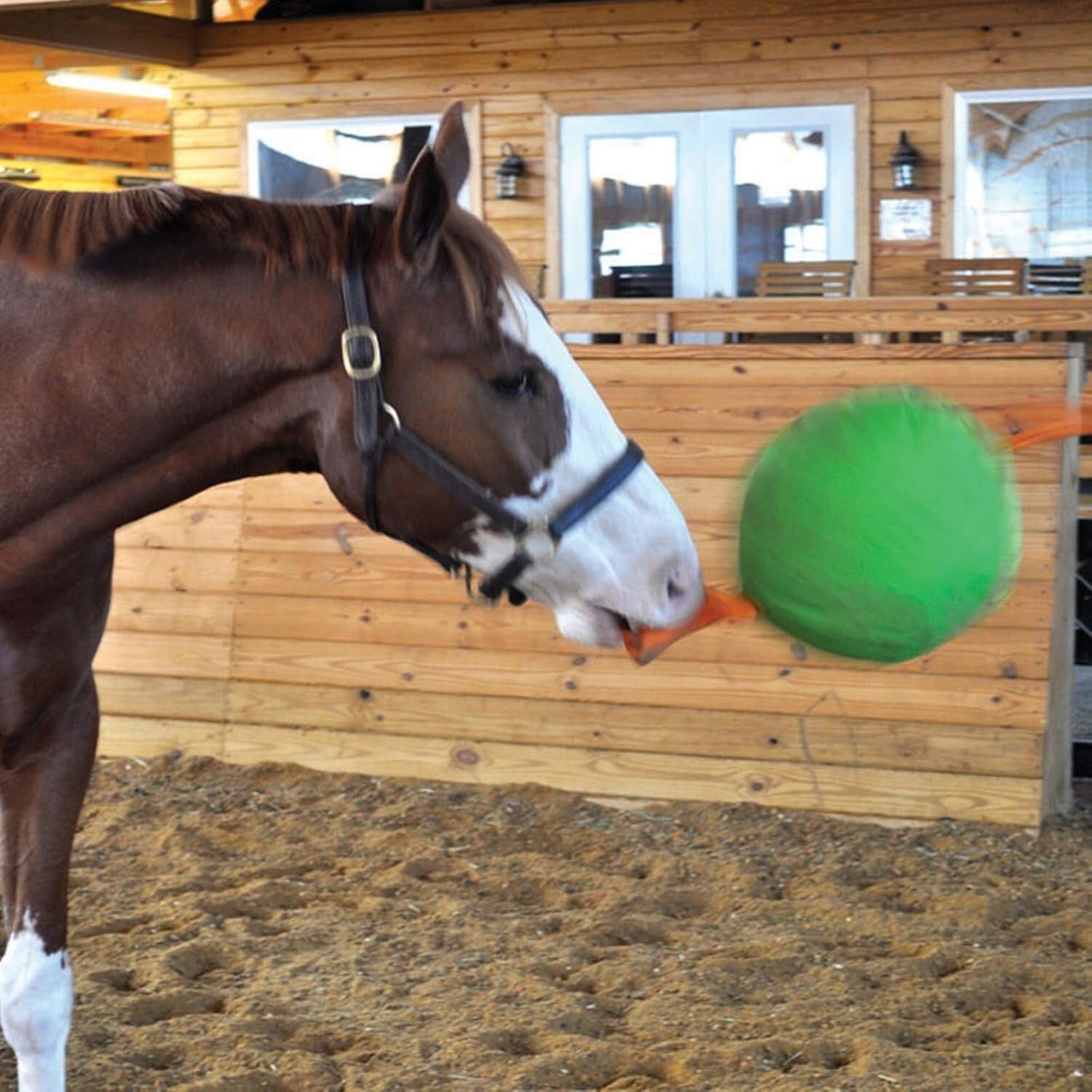 14" Jolly Tug Toy for Horses - Bright Blue, Machine Washable, All Breeds