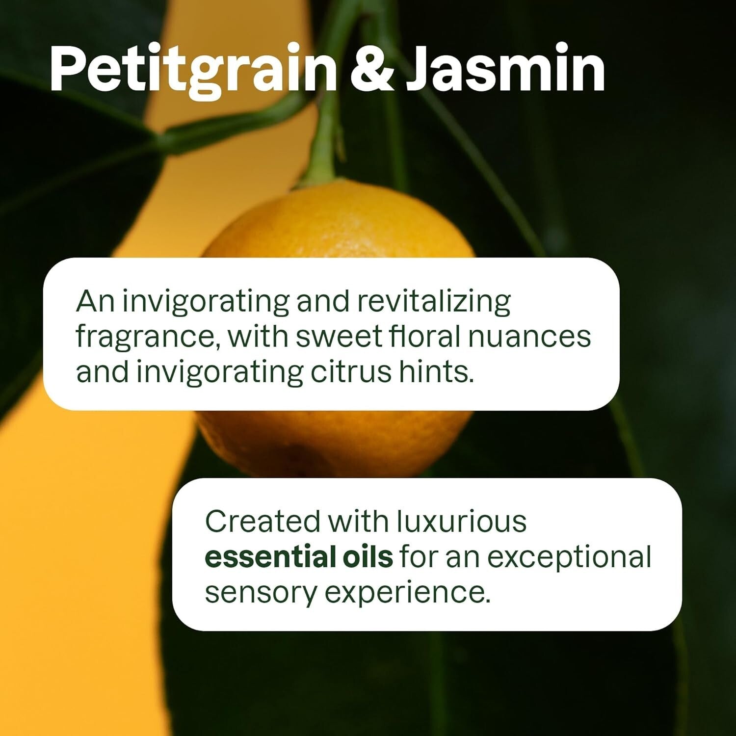 Natural Hand Soap with Petitgrain & Jasmine - 99% Naturally Sourced Ingredients