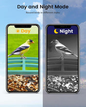 Load image into Gallery viewer, Eco-Friendly Smart Bird Feeder: AI Recognition &amp; Night Vision for 11,000 Species