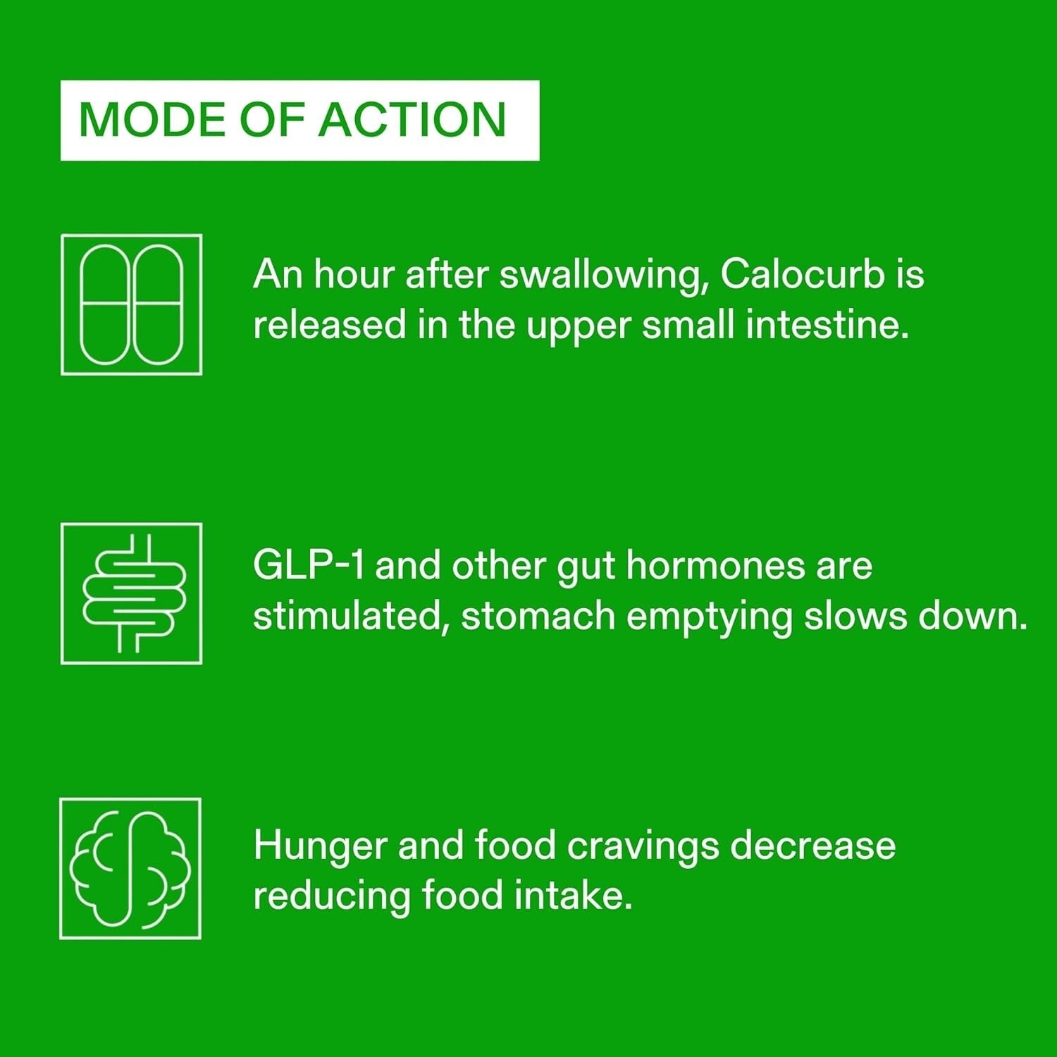 6X Natural GLP-1 Activator - 180 Count Plant-Based Calorie Control Supplement