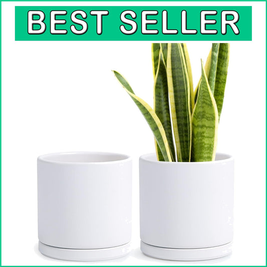 Durable Set of 2 Glazed Ceramic 8-Inch Planters with Drainage Accessories