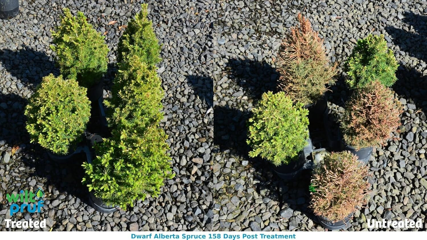 1 Gallon Organic Plant Moisture Retention - Effortless Application & Protection