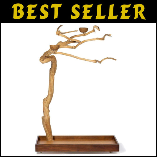 Medium Coffeewood Tree Playstand - Ideal for Cockatiels, Quakers, and Conures
