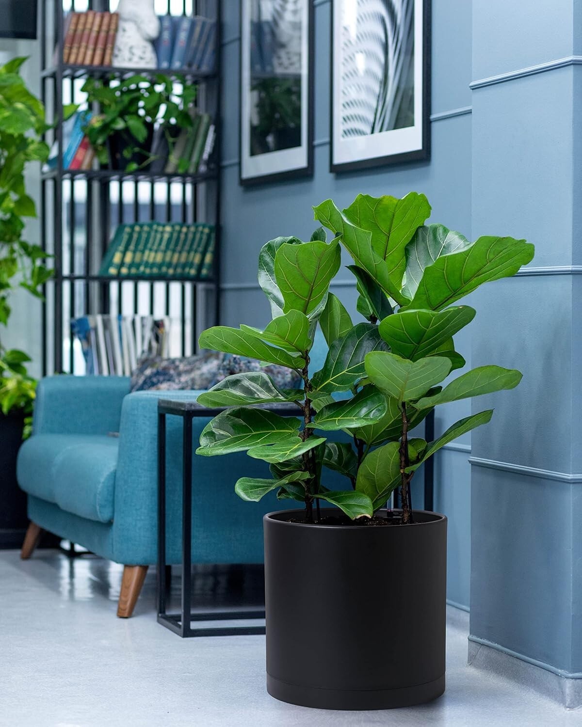 Cylindrical 12-Inch Indoor/Outdoor Planters with Drainage Saucers - Set of 2