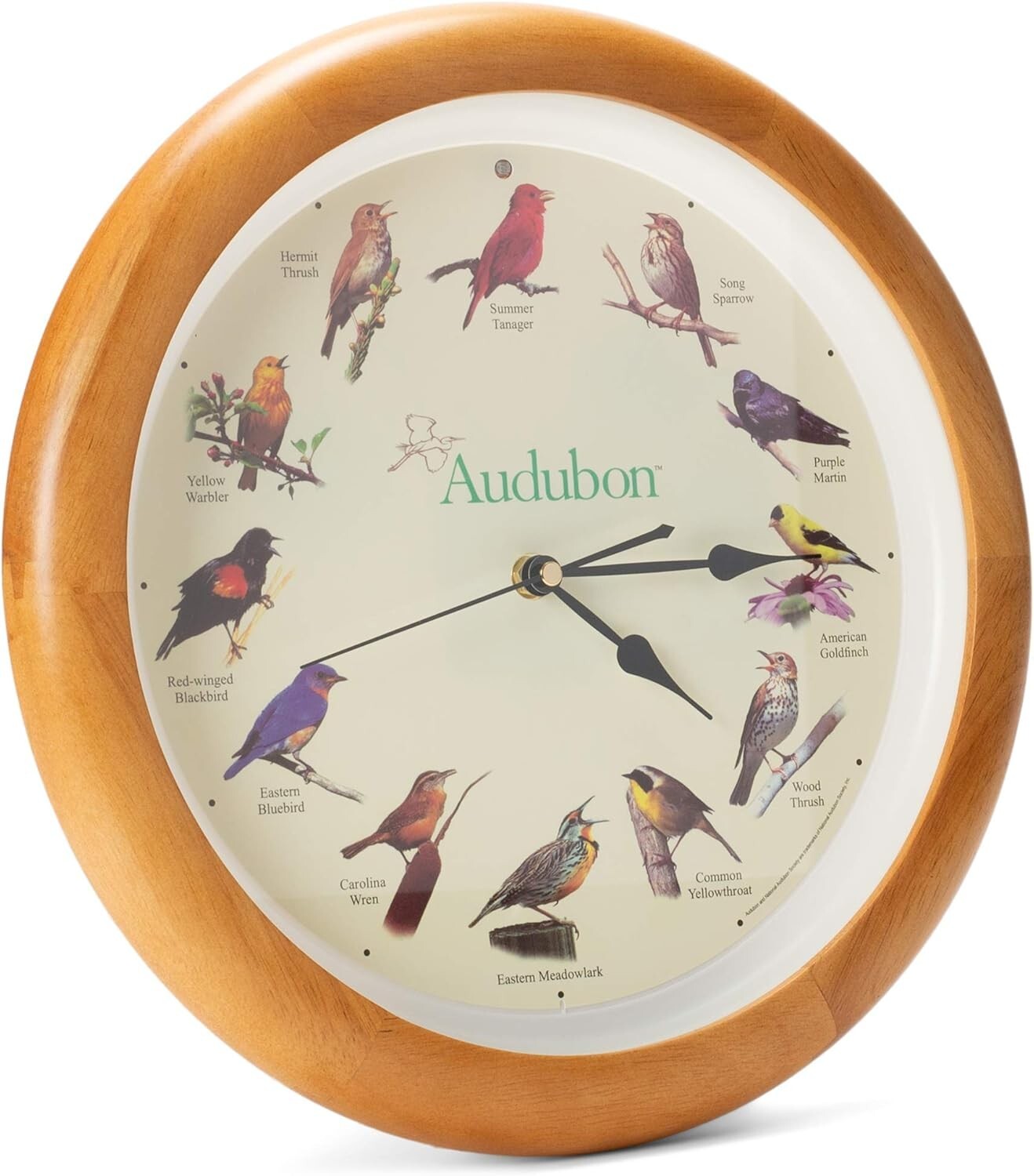 Beautiful Oak Wood Frame Singing Bird Wall Clock, Ideal for Kids' Rooms