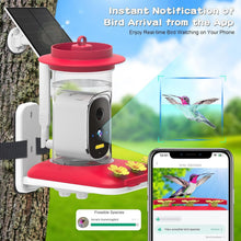 Load image into Gallery viewer, Ultimate Hummingbird Feeder with 4K Camera—AI Species Identifier &amp; Notifications