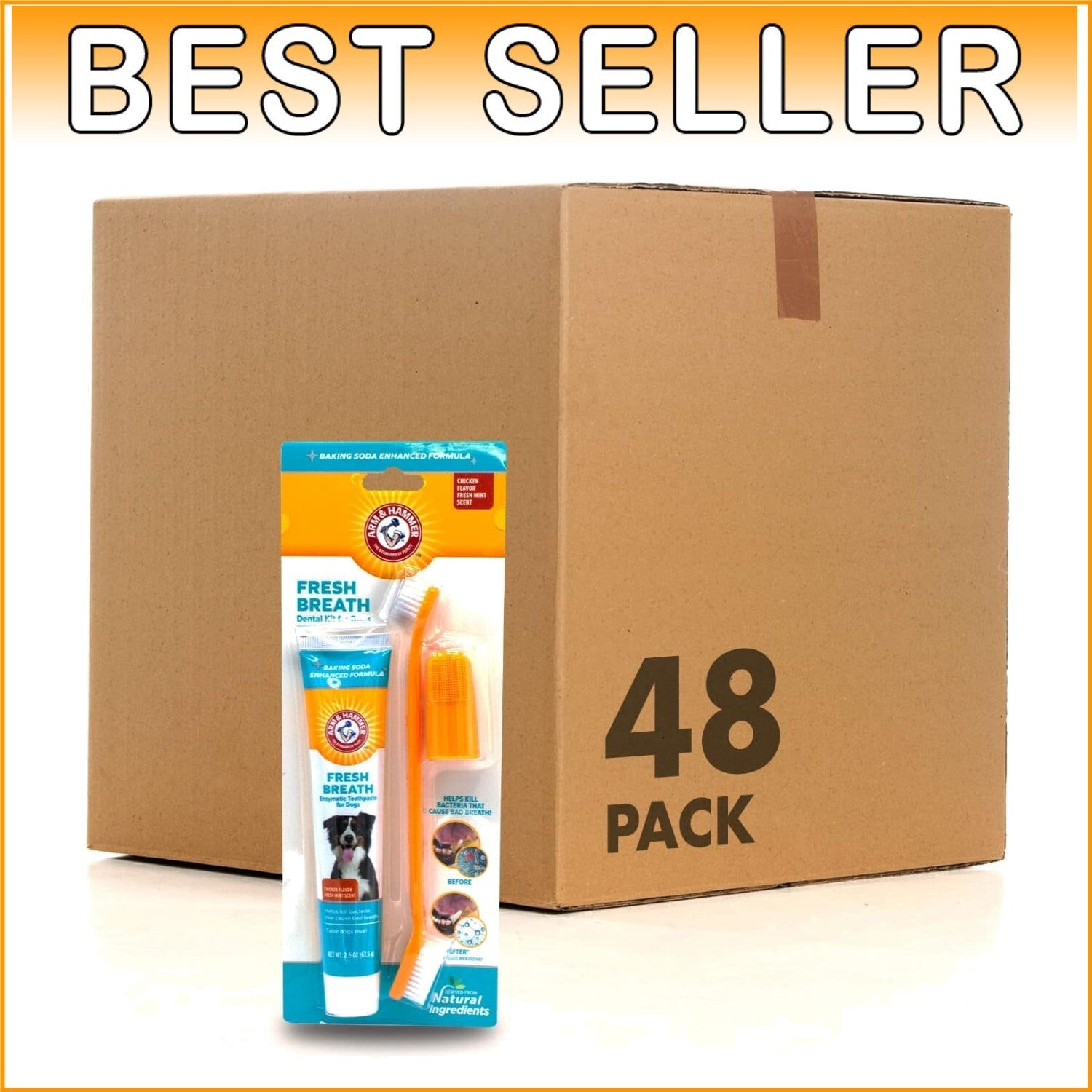 Effective 48-Pack Dog Dental Kit with Chicken Flavor Toothpaste for Fresh Breath