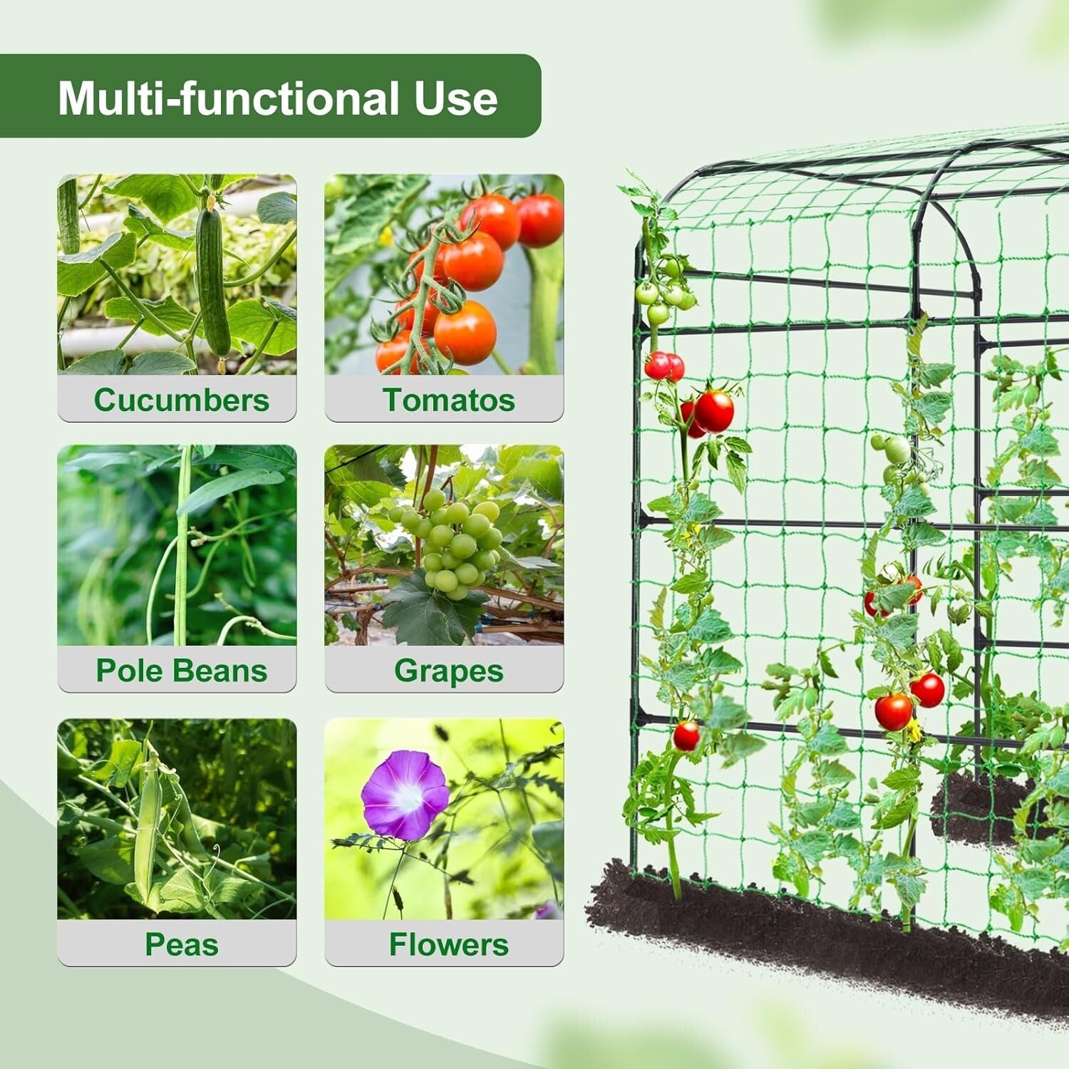 Durable Metal Arbor Trellis with Netting for Vertical Gardening & Plant Support