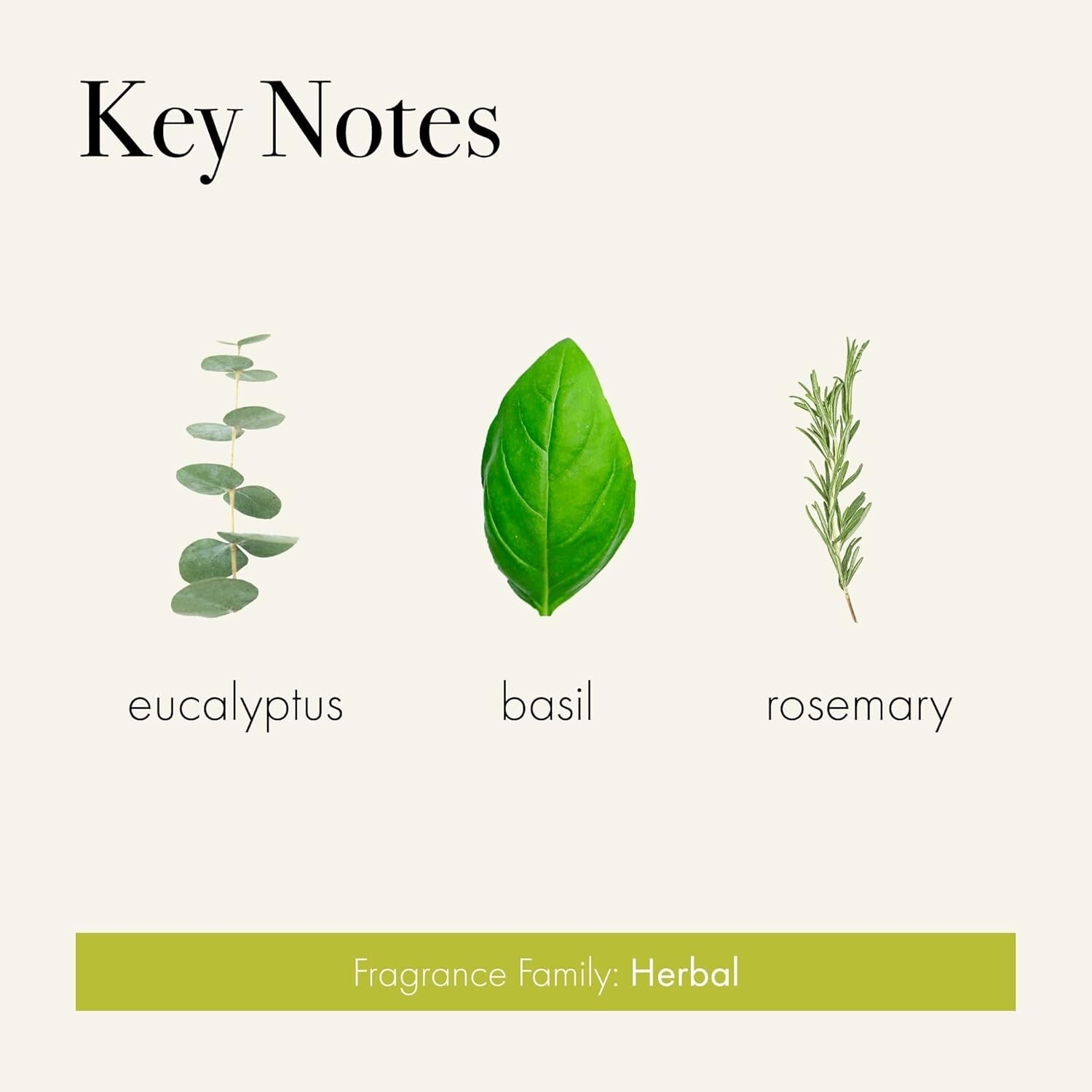 Hand-blown Glass Reed Diffuser - 15oz Rosemary Eucalyptus, 9 Months of Serenity