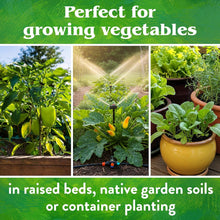 Load image into Gallery viewer, All-Natural 15 lb Vegetable Fertilizer 4-4-4 Mix for Healthy Garden Growth