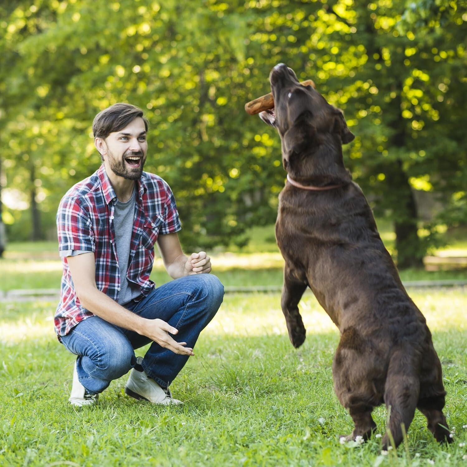 Long-Lasting Olive Wood Dog Chew with Olive Oil - Promotes Dental Health