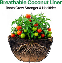 Load image into Gallery viewer, Versatile 12-Inch Black Metal Hanging Planters with Coco Fiber for Any Space