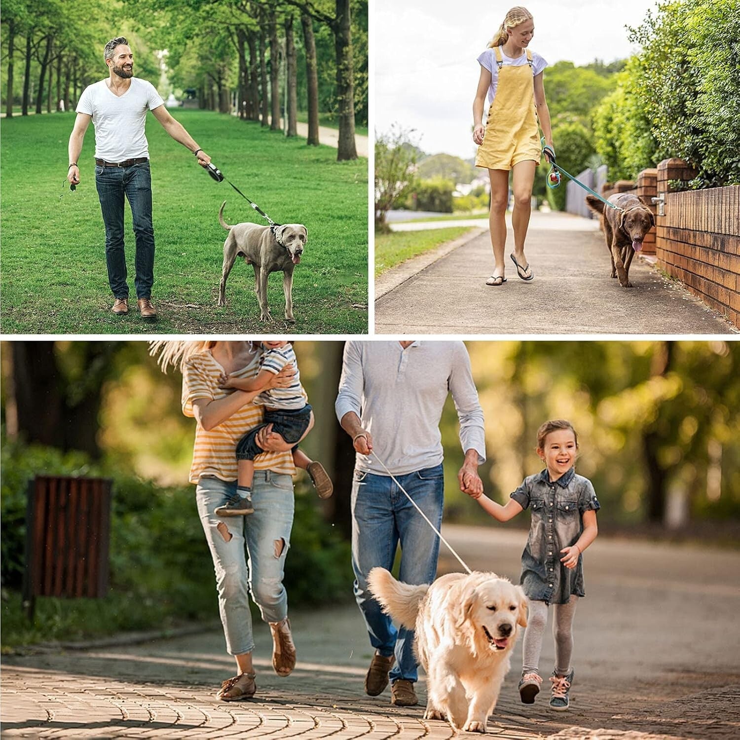 Ultra-Durable 150 FT Dog Lead with Padded Handle - Perfect for Training & Hiking