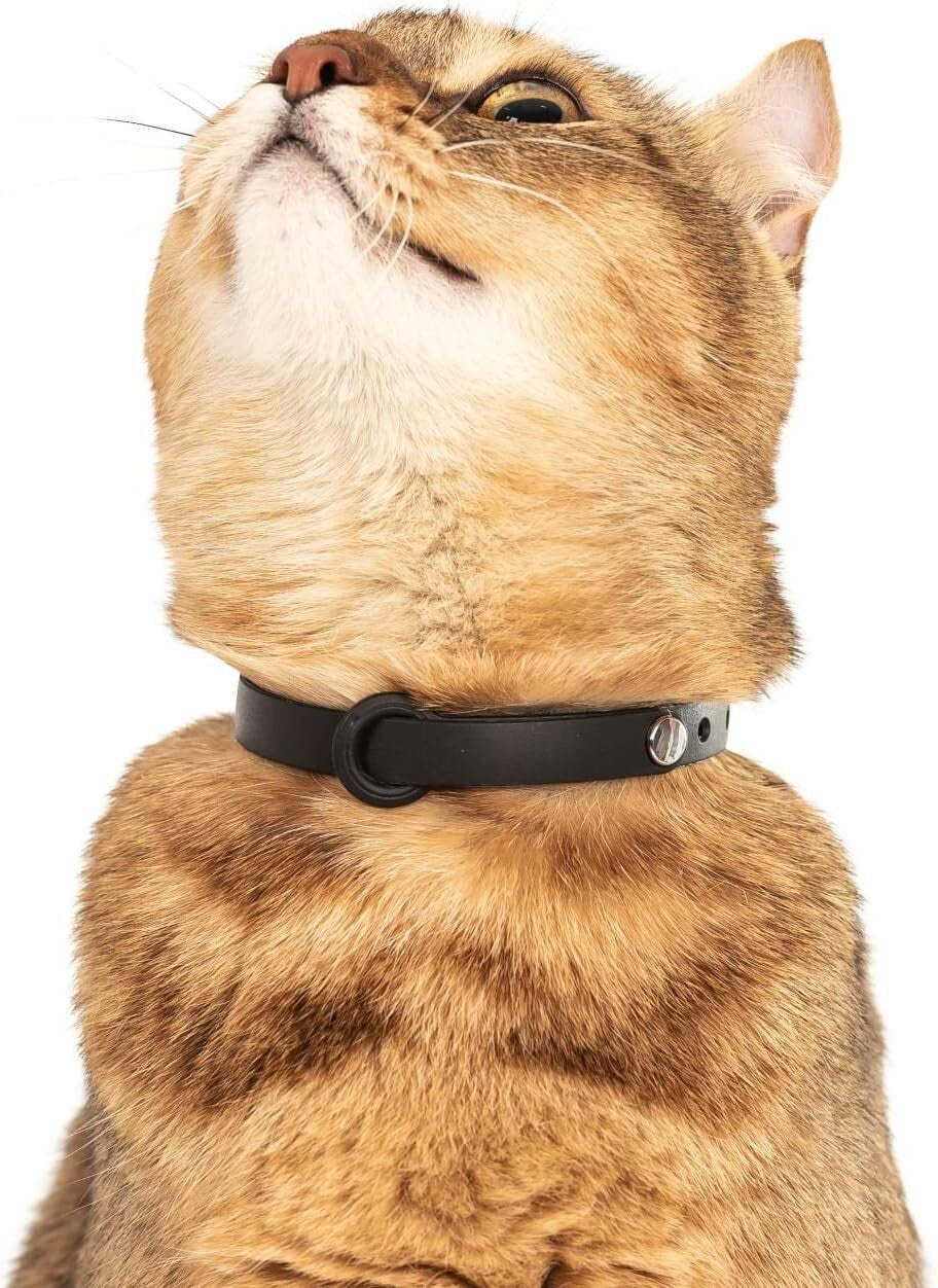 5 Pack Adjustable Breakaway Cat Collars - Soft & Lightweight Safety Set