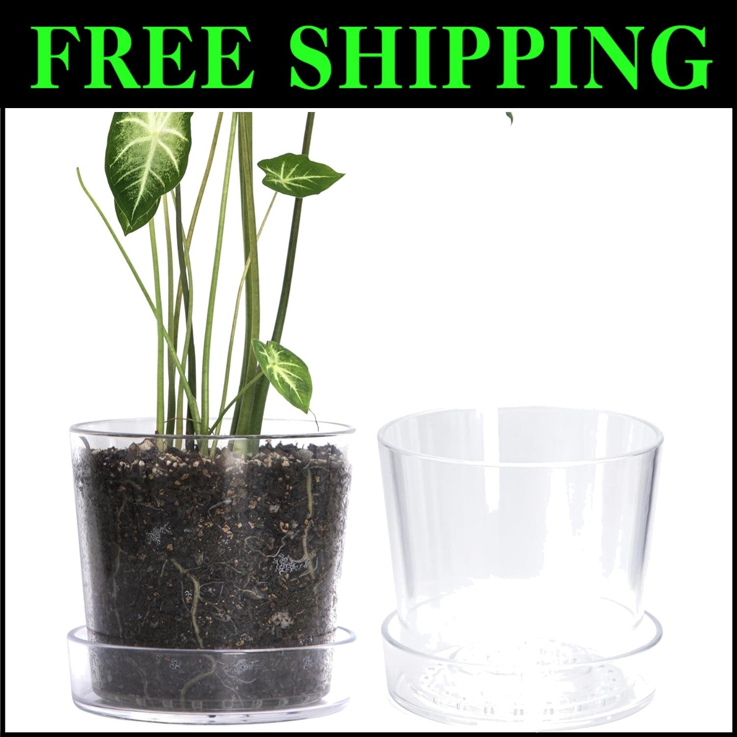 Transparent 8-Inch Acrylic Planter Pot with Drainage for Healthy Plant Growth
