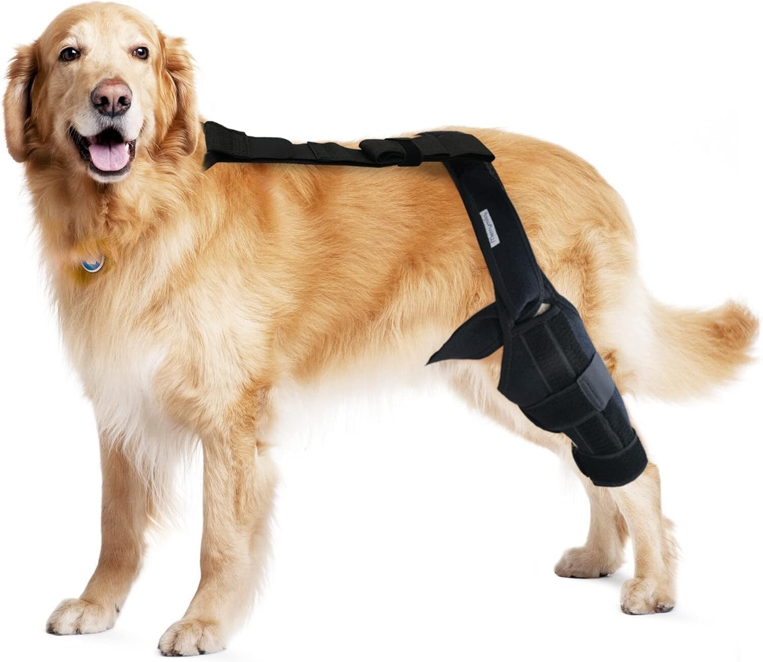 Lightweight Adjustable Dog Knee Brace for Joint Pain Relief & Mobility - Black