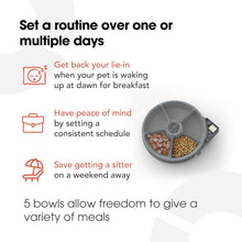 Load image into Gallery viewer, Programmable Automatic Feeder for Cats &amp; Small Dogs - 5 Meal with Ice Packs