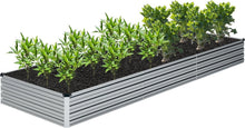 Load image into Gallery viewer, Durable &amp; Safe 2-Piece Raised Garden Bed Kit - 12x4x1FT for Herbs &amp; Fruits