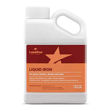 Load image into Gallery viewer, 1 Gal Liquid Iron for Fast Plant Recovery &amp; Vibrant Lawn - Multi-Purpose Use