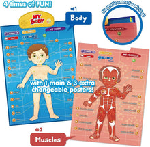 Load image into Gallery viewer, Learn Body Parts and Muscles with Interactive Talking Anatomy Poster for Kids