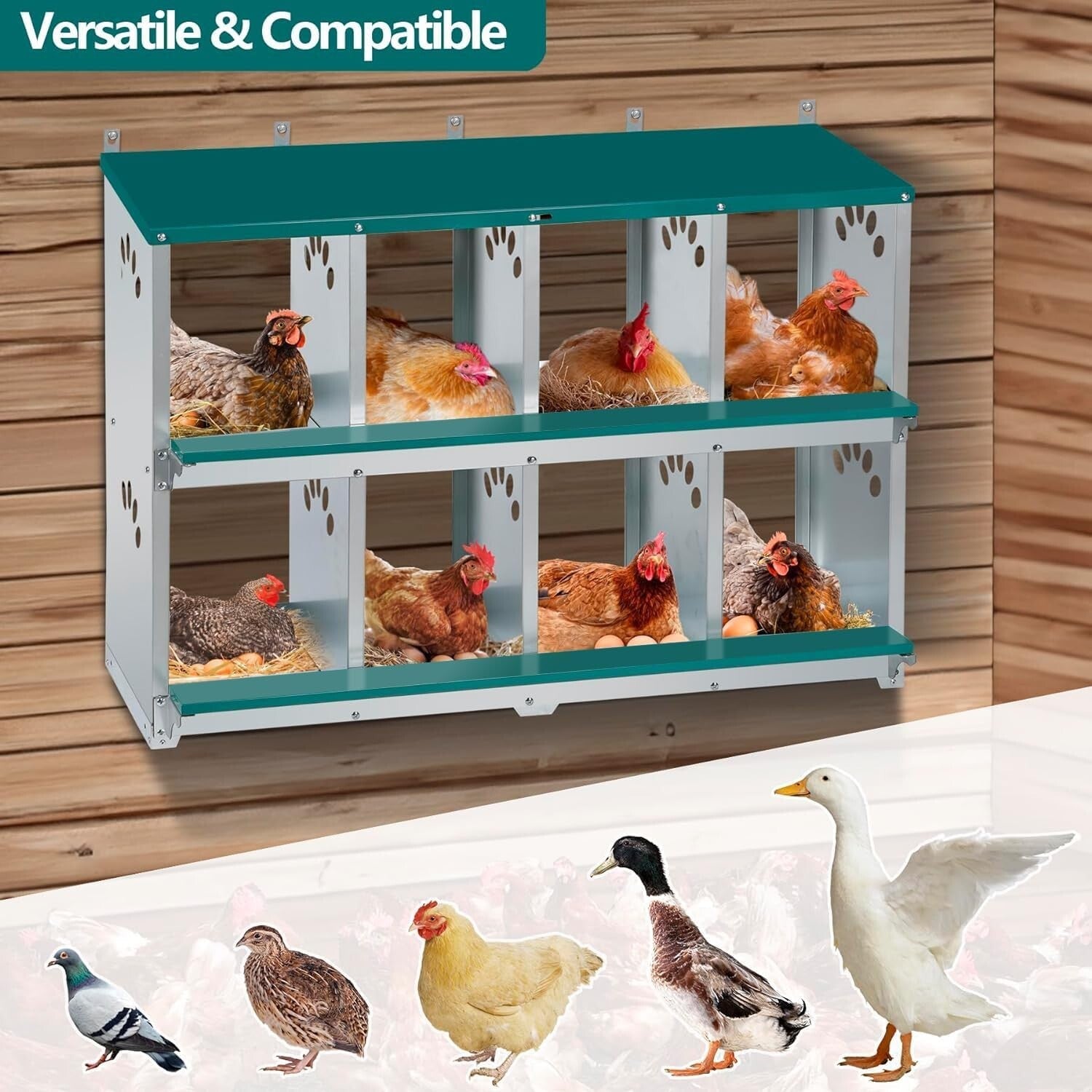 Spacious 8 Compartment Chicken Nesting Box - Ideal for Comfortable Egg Laying