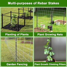 Load image into Gallery viewer, Chisel Point 16" Rebar Stakes - 34 Heavy Duty Steel Anchors for Secure Gardening