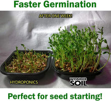 Load image into Gallery viewer, 250 Count Organic Coco Coir Seed Pellets - Ideal for Home &amp; Professional Growers