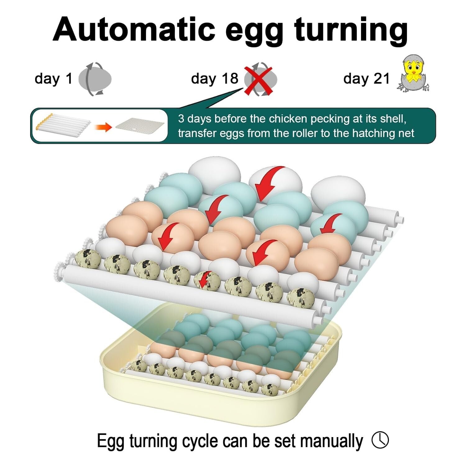Efficient 35 Egg Incubator: Automatic Turning, Humidity Control & Visual Design